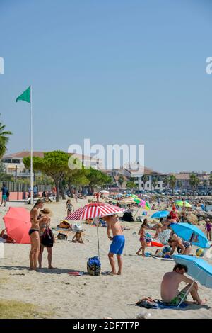 Francia, Herault, laguna di Thau, Meze, turisti su una spiaggia fiancheggiata da ombrelloni di pino Foto Stock