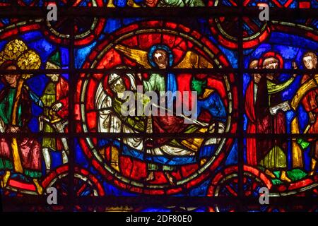 Francia, Yonne, Auxerre, Cattedrale di Saint Etienne, vetrate Foto Stock
