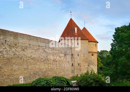 Mura e Torri di una città vecchia di Tallin nella luce del tramonto. Estonia Foto Stock