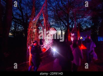 Wakehurst , Haywards Heath UK 3 dicembre 2020 - i visitatori si godono la notte di apertura del Glow Wild Lantern Trail a Wakehurst in Sussex, che quest'anno celebra gli eroi nascosti del mondo naturale. I punti salienti includono teste di semi di dente di leone galleggianti giganti, un campo di funghi da favola e l'albero di Natale più alto del Regno Unito: Credit Simon Dack / Alamy Live News Foto Stock