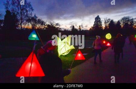 Wakehurst , Haywards Heath UK 3 dicembre 2020 - i visitatori si godono la notte di apertura del Glow Wild Lantern Trail a Wakehurst in Sussex, che quest'anno celebra gli eroi nascosti del mondo naturale. I punti salienti includono teste di semi di dente di leone galleggianti giganti, un campo di funghi da favola e l'albero di Natale più alto del Regno Unito: Credit Simon Dack / Alamy Live News Foto Stock