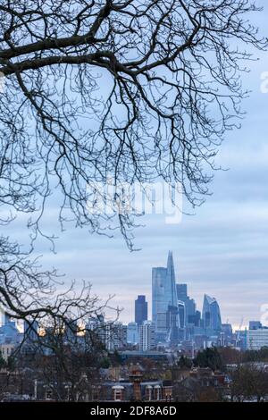 Vista attraverso gli alberi del quartiere centrale degli affari di Londra visto da Brockwell Park, Londra Foto Stock