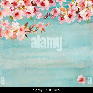 Albicocca in fiore o ramoscello sakura tree con fiori, foglie e gemme su sfondo blu o turchese grunge. Illustrazione originale a mano libera p Foto Stock