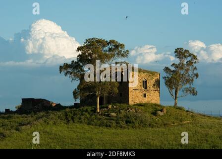 due alberi e una grande fattoria in campagna Foto Stock