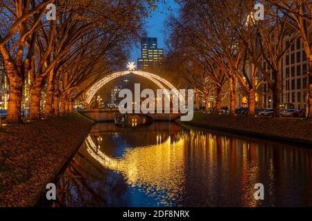 Königsallee, Kö, elegante via dello shopping nel centro di Düsseldorf, Natale, arco di luce sul canale della città, NRW, Germania Foto Stock