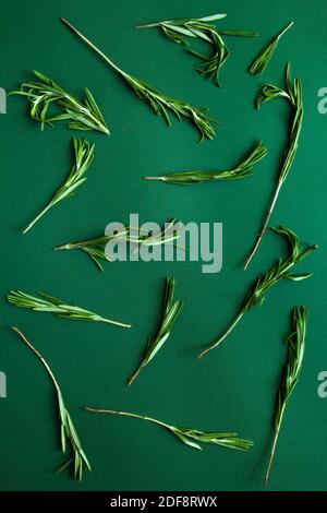 Modello di ramificazioni di rosmarino su sfondo verde. Foto Stock