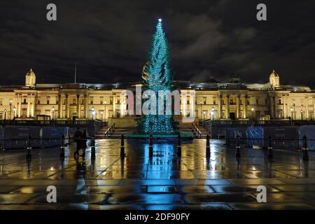 Londra, Regno Unito. 3 dicembre 2020. Trafalgar Square Christmas Tree Lights ON in Trafalgar Square, London Credit: Paul Brown/Alamy Live News Foto Stock