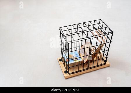 piccola gabbia con serratura con banconote da 50 e 20 euro e alcune monete all'interno, concetto di crisi, risparmio o mancanza di denaro, spazio per le copie Foto Stock