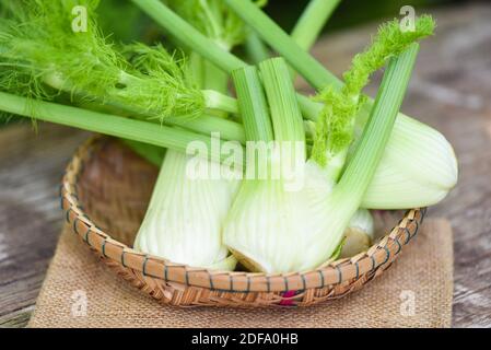 Verdure di finocchio dal giardino , bulbi freschi di finocchio crudo pronti a cucinare su cibo legno natura sfondo verde Foto Stock