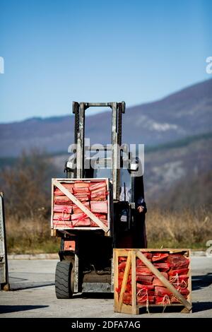 Pallet in legno riempito con legna da ardere Foto Stock