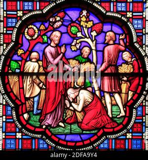 Vetrata, Boaz incontra Ruth nel campo di mais, di William Wailes, 1849, Ely Cathedral Foto Stock