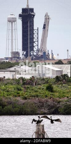 NO FILM, NO VIDEO, NO TV, NO DOCUMENTARIO - il razzo Space X Demo-2 Falcon 9, con la capsula Crew Dragon in cima, è sollevato alla sua posizione verticale al Launch Pad 39-A al Kennedy Space Center, FL, USA, martedì 26 maggio 2020, in preparazione per il lancio Mercoledì pomeriggio. Foto di Joe Burbank/Orlando Sentinel/TNS/ABACAPRESS.COM Foto Stock