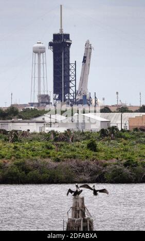 NO FILM, NO VIDEO, NO TV, NO DOCUMENTARIO - il razzo Space X Demo-2 Falcon 9, con la capsula Crew Dragon in cima, è sollevato alla sua posizione verticale al Launch Pad 39-A al Kennedy Space Center, FL, USA, martedì 26 maggio 2020, in preparazione per il lancio Mercoledì pomeriggio. Foto di Joe Burbank/Orlando Sentinel/TNS/ABACAPRESS.COM Foto Stock