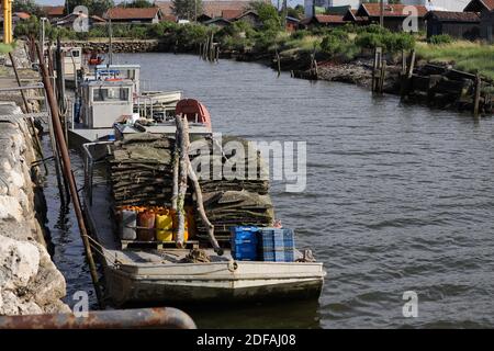 Il Ministro dell'Agricoltura, Didier Guillaume si è recato a Gujan-Mestras nel bacino di Arcachon per incontrare gli attori del settore delle conchiglie. Nella foto, le barche dei contadini di ostriche nel porto. Il 03 giugno 2020, a Gujan Mestras, Francia. Foto di Thibaud Moritz/ABACAPRESS.COM Foto Stock