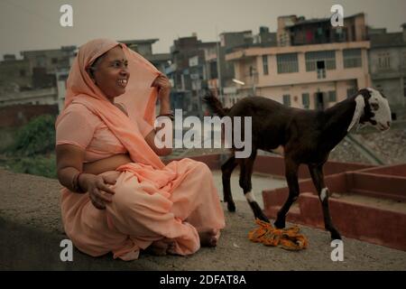 Ritratto di una donna mentre è seduta su un muro di cemento con una capra, sul lato di una strada che conduce a Surya Mandir (Tempio del Sole) a Jaipur, Rajasthan, India. Foto Stock