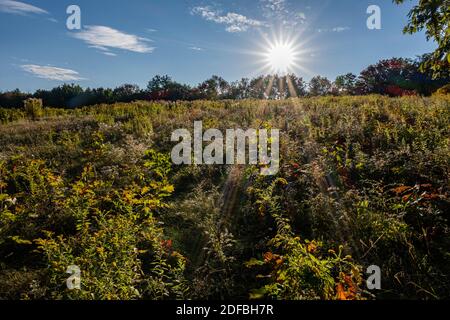 Il sole tramonta su un prato a Phillipston, Massachusetts Foto Stock