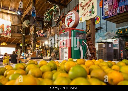 La Showcase of Citrus è una delizia a bordo strada con u-pick agrumi, mercato all'aperto, le novità della Florida, e monster Truck Grove tour a Clermont, FL. Foto Stock