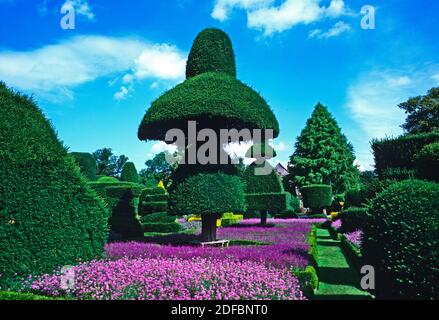 Impressionante giardino Topiary nel Distretto dei Laghi di Cumbria Foto Stock
