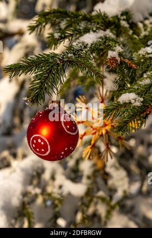 Weihnachten, Christbaumschmuck am Tannenbaum im frisch verschneiten Wald. Rote Kugel und Strohstern. Decorazione di Natale nella foresta innevata. Paglia Foto Stock