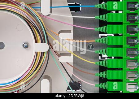 Telaio di distribuzione in fibra ottica isolato su sfondo bianco Foto Stock