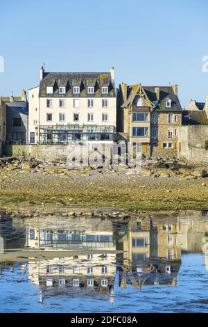 Francia, Finistere, Roscoff, tappa sul sentiero GR 34 o sentiero doganale, la città Foto Stock