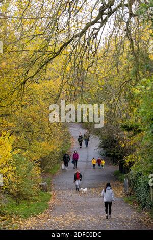 La gente fuori cammina a Streatham Common il 9 novembre 2020 a Londra nel Regno Unito. Foto di Sam Mellish Foto Stock