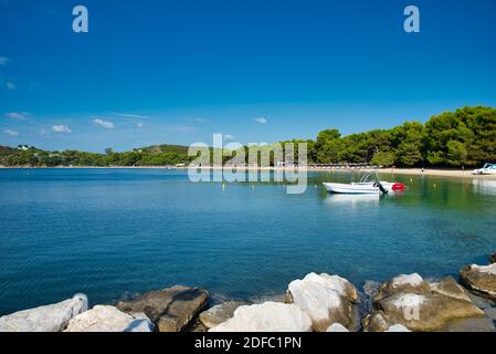 Spiaggia di Koukounaries , sull'isola di Skiathos , in Grecia, spiaggia famosa in tutto il mondo Foto Stock