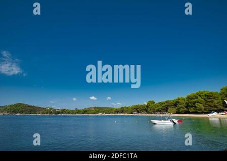 Spiaggia di Koukounaries , sull'isola di Skiathos , in Grecia, spiaggia famosa in tutto il mondo Foto Stock