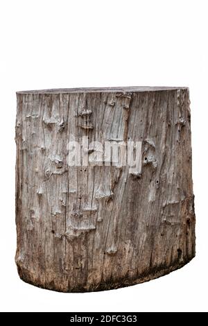 Pezzo di legno marrone invecchiato grande usato per fare una sedia. Isolato su sfondo bianco Foto Stock
