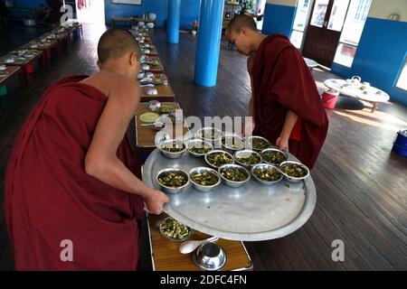 Myanmar (Birmania), Myanmar (Birmania), monaci buddisti che distribuiscono cibo nel refettorio del monastero di Nyaung Shwe Foto Stock