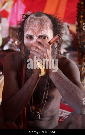 India, Uttarakhand, Haridwar, ritratto di sadhu ascetico indù fumando chillum durante Kumbh mela Foto Stock