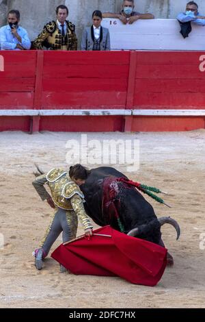 Francia, Gard, Nimes, Feria des Vendanges, corride, El Rafi Foto Stock