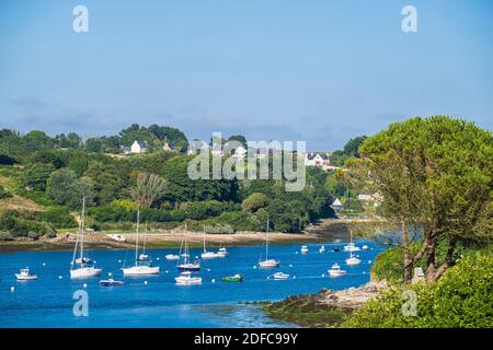 Francia, Finistere, Paese di Abers, Costa di Legendes, Aber Benoit, Port du Vilh Foto Stock