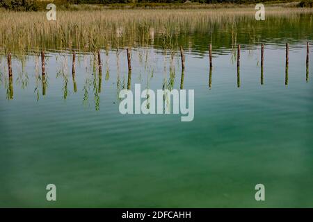 Francia, Savoia, Avant-Pays savoia, il lago di Foto Stock