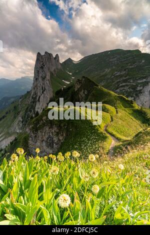 Nuvole sopra Saxer Lucke circondato da prati fioriti in estate, Appenzell Canton, Alpstein Range, Svizzera Foto Stock