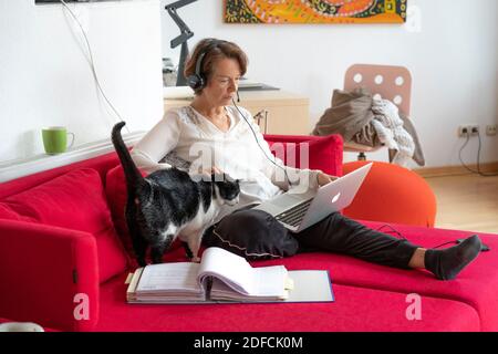 Donna, metà degli anni '50, lavora da casa, con un computer portatile e comunica con i colleghi, l'ufficio di casa, sul divano, Foto Stock