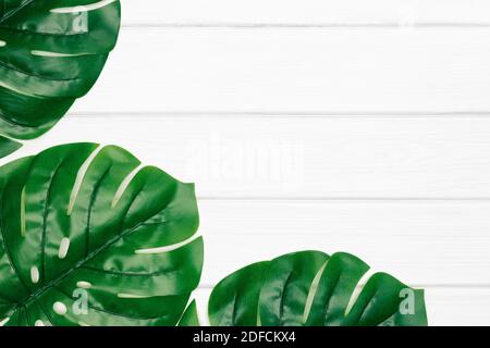 Foglie di Monstera verde scuro su tavole di legno dipinte di bianco. Spazio di copia. Sfondo floreale tropicale astratto Foto Stock