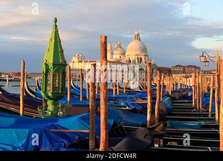 I-Venedig: Gondeln vor der Piazzetta dahinter die Basilca di S. Maria della Salute Foto Stock