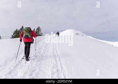 La coppia più anziana è un'escursione con racchette da neve in montagna alpina invernale. Allgau, Baviera, Germania. Foto Stock