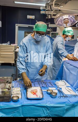 Trapianto di rene, infermiera, ospedale di Bordeaux, Francia. Foto Stock