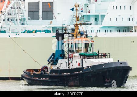 Rimorchiatore che traina una grande nave marittima nella Rotterdam olandese porto Foto Stock