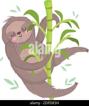 sloth in brach foglie fogliame animale safari vettore cartoon illustrazione Illustrazione Vettoriale