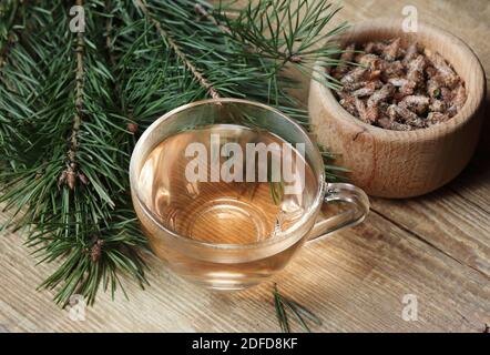 Boccioli di pino tisane vitaminiche in una tazza di vetro con aghi e boccioli nelle vicinanze su legno rustico, closeup, spazio copia, erbe vitaminiche bevande e naturopatia co Foto Stock