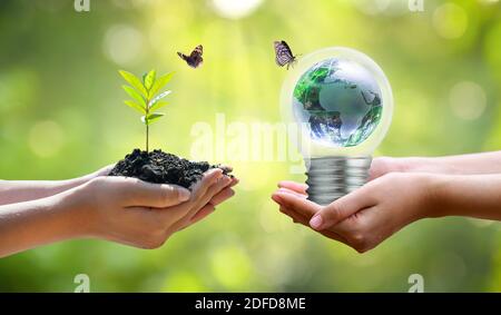 Concetto di salvare il mondo salvare Ambiente Il mondo è in erba del verde sfondo bokeh di fondo Foto Stock