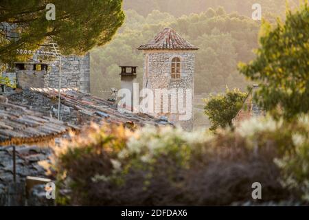 Via del villaggio Goult, Provenza, Francia, Europa. Foto Stock