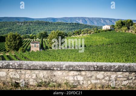 Via del villaggio Goult, Provenza, Francia, Europa. Foto Stock