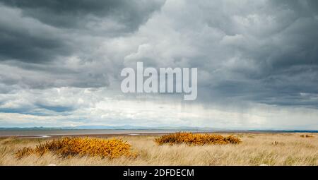 Cieli tempestosi su Solway Firth con erbe in primo piano Foto Stock