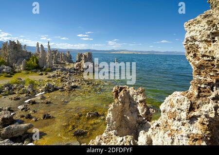 Lago mono, CALIFORNIA, STATI UNITI D'AMERICA Foto Stock