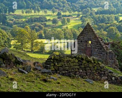 Rovine di un vecchio fienile di campo di pietra a Cuckoestone vicino Matlock nel Derbyshire Peak District Inghilterra Regno Unito con campi verdi e alberi sullo sfondo. Foto Stock