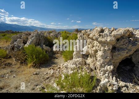 Lago mono, CALIFORNIA, STATI UNITI D'AMERICA Foto Stock